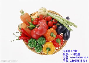 探索南海区工厂饭堂餐饮服务 聚焦“天天向上饮食”的承包管理